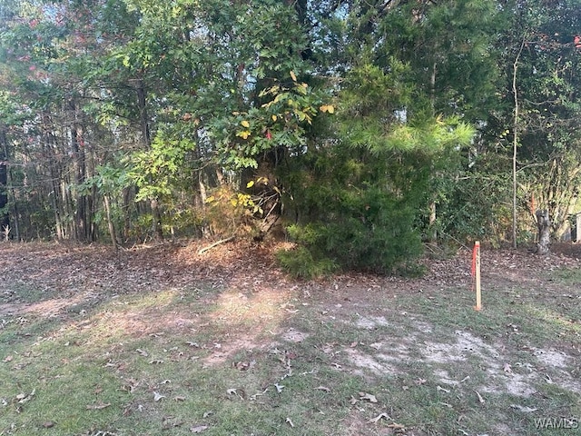 LOT65 Blue Pine Cir, Brookwood, AL 35444 - photo 2