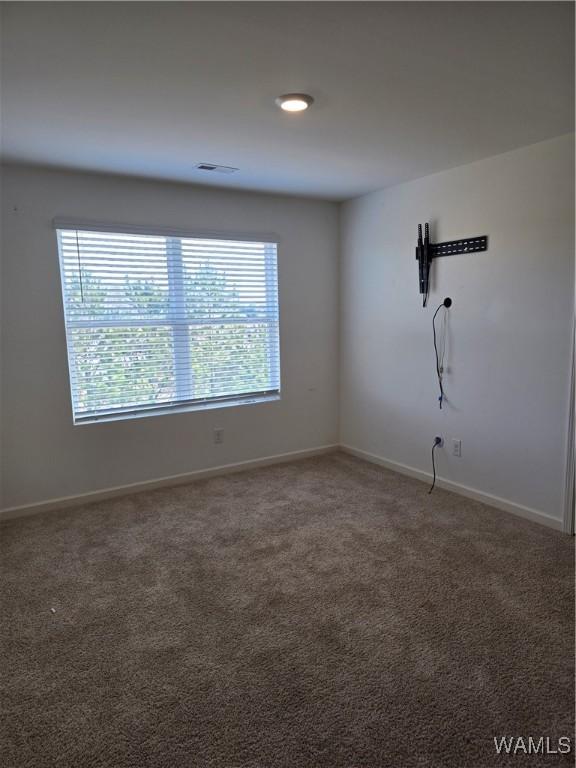 unfurnished room with carpet floors