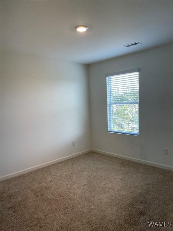 empty room featuring carpet floors