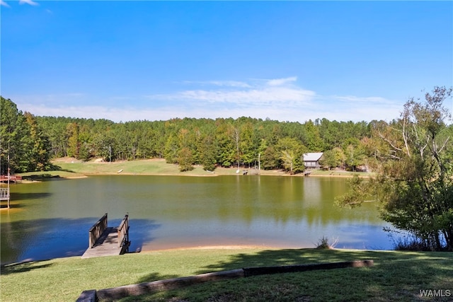 property view of water featuring a boat dock