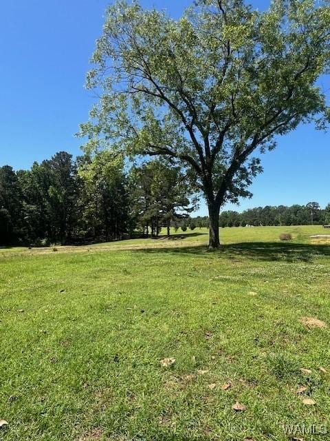 17251 N Hagler Rd, Northport, AL 35475 - photo 4