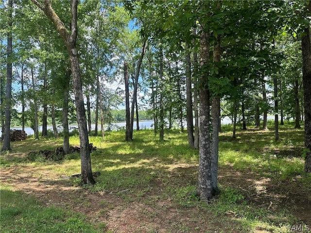 105 Cypress Point Dr, Akron, AL 35441