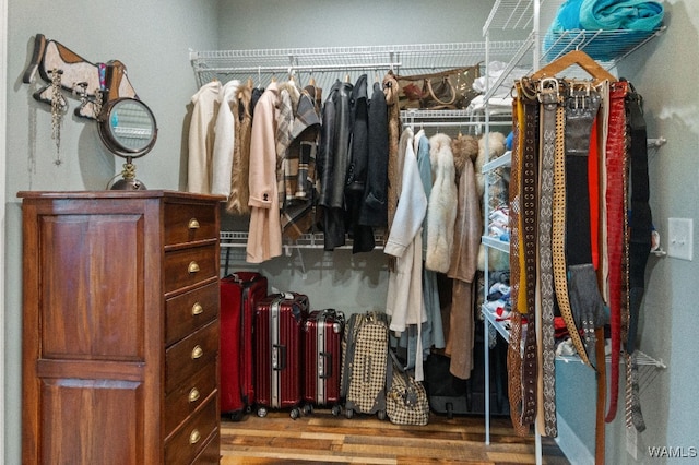 walk in closet featuring wood-type flooring