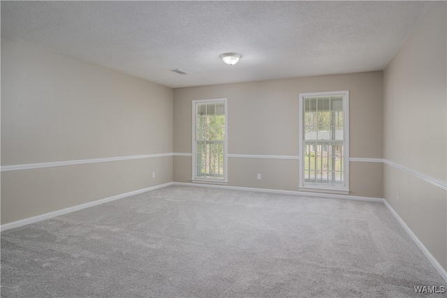 spare room featuring plenty of natural light, a textured ceiling, and carpet