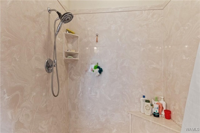 full bathroom featuring walk in shower