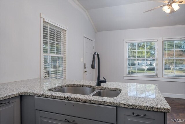 kitchen with dark wood-type flooring, sink, gray cabinets, ceiling fan, and light stone countertops