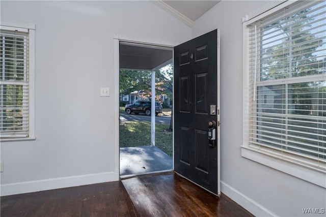 entryway with lofted ceiling, dark hardwood / wood-style floors, and a wealth of natural light