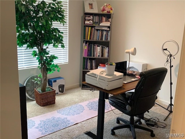 7106 Dowery Dell Way, Northport, AL 35473 - carpeted office space featuring baseboards