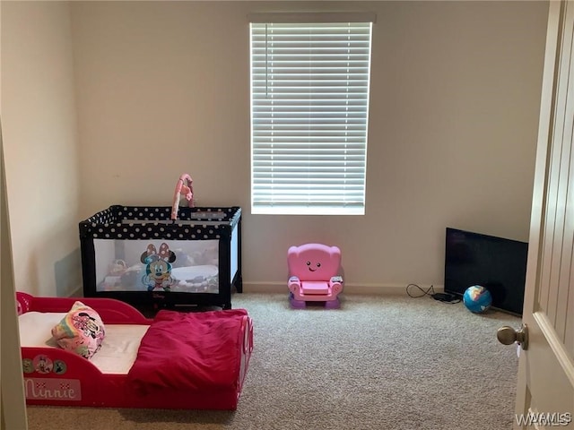 7106 Dowery Dell Way, Northport, AL 35473 - bedroom featuring baseboards and carpet