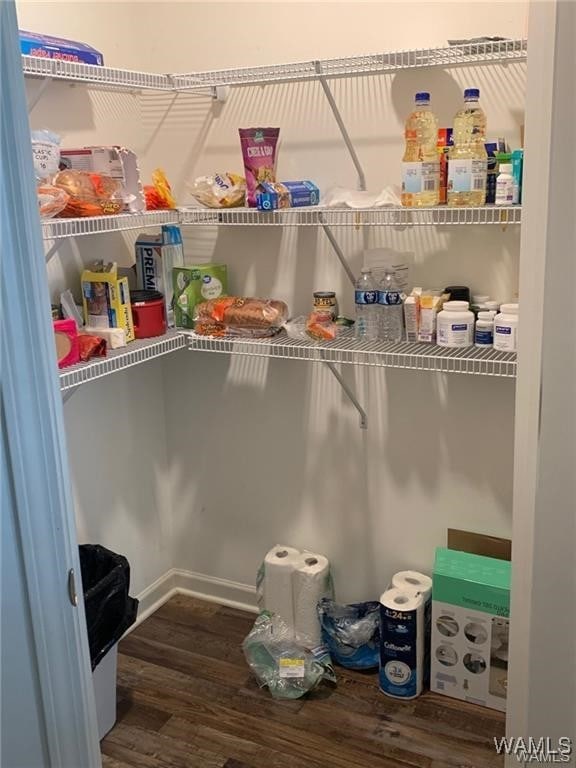 7106 Dowery Dell Way, Northport, AL 35473 - view of pantry