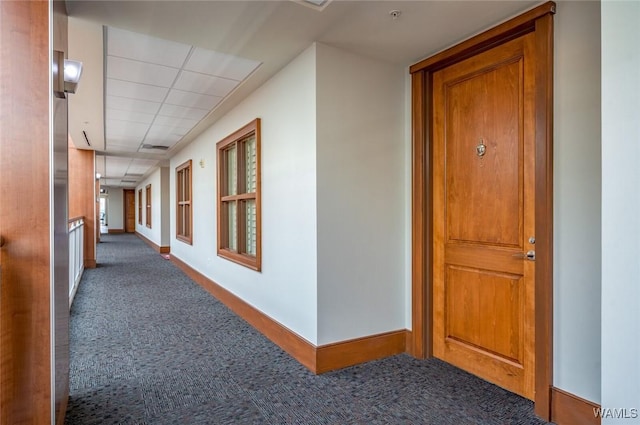 1018 Hackberry Ln Unit 404, Tuscaloosa, AL 35401 - hall with carpet floors and a paneled ceiling