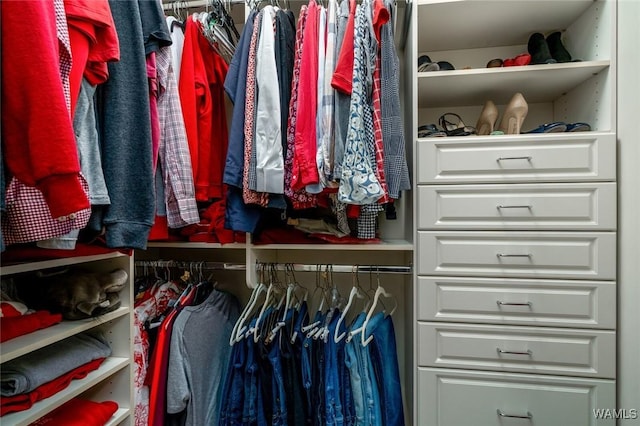 1018 Hackberry Ln Unit 404, Tuscaloosa, AL 35401 - view of closet