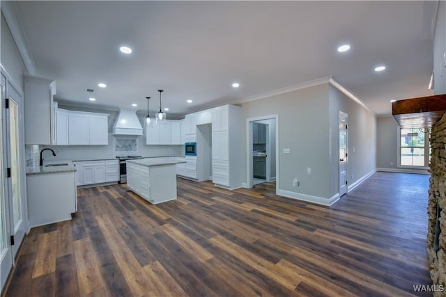 kitchen featuring premium range hood, dark hardwood / wood-style floors, a kitchen island, white cabinetry, and stainless steel appliances