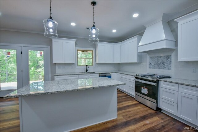 kitchen featuring dark hardwood / wood-style flooring, custom exhaust hood, stainless steel appliances, sink, and white cabinetry
