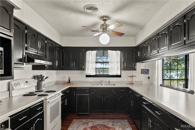 kitchen featuring a textured ceiling, white range with electric cooktop, a wealth of natural light, and sink