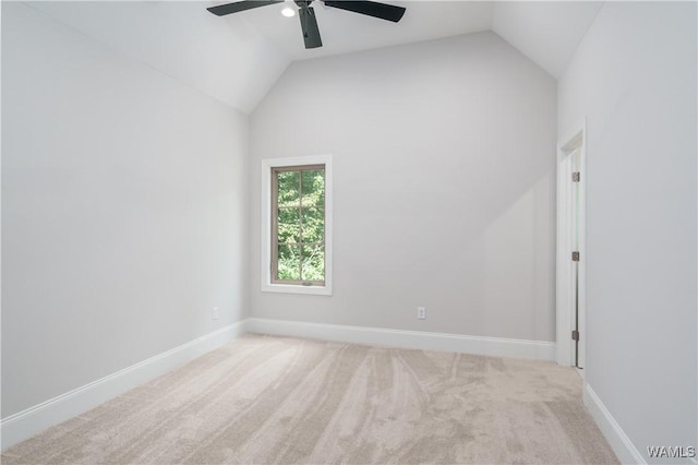 0000 Trails End Ln, Tuscaloosa, AL 35406 - photo 37