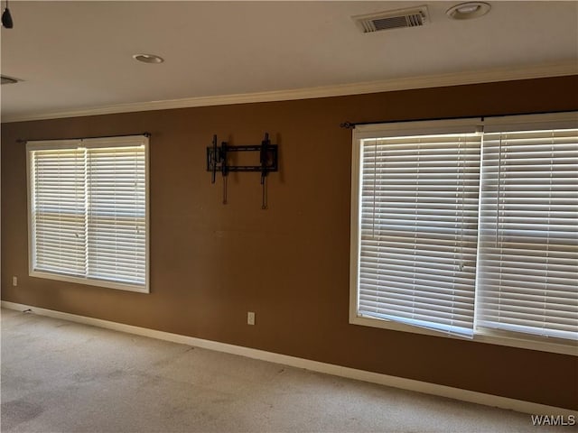 empty room featuring ornamental molding and carpet flooring