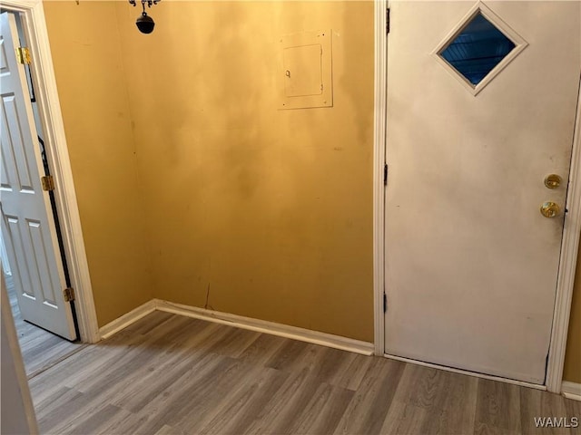 foyer entrance with wood-type flooring