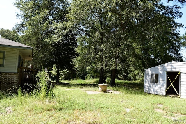 view of yard featuring a shed