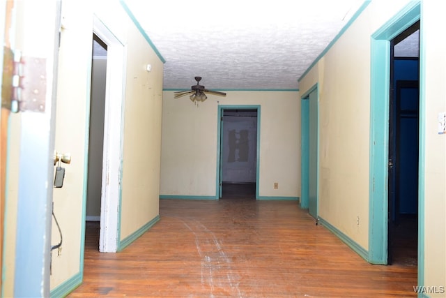 hall featuring dark hardwood / wood-style floors and a textured ceiling