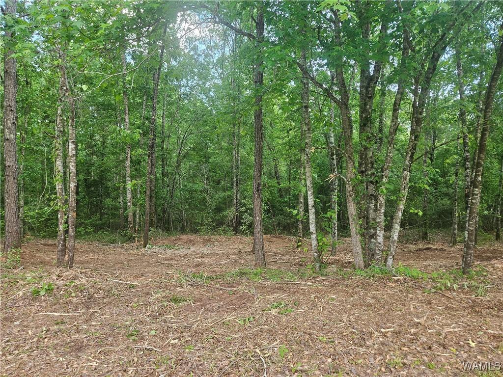 Lot14/15 Magnolia Creek, Gordo, AL 35466 - photo 1