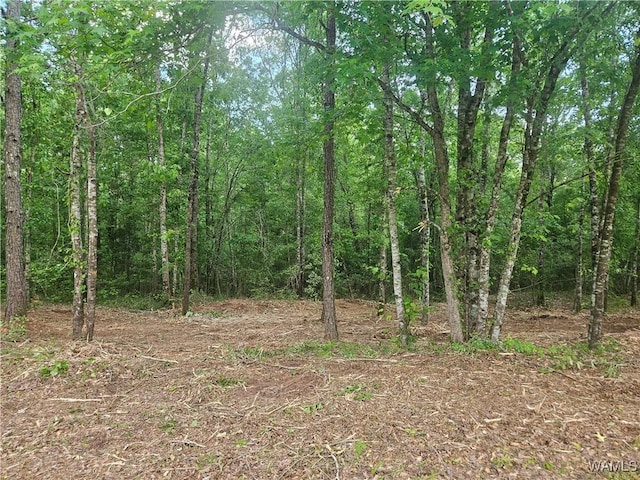 Lot14/15 Magnolia Creek, Gordo, AL 35466 - photo 1