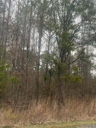 Lot14/15 Magnolia Creek, Gordo, AL 35466 - photo 2