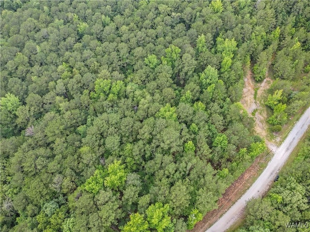 8850 Tom Taylor Rd, Northport, AL 35473 - photo 5