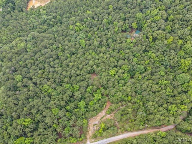 8850 Tom Taylor Rd, Northport, AL 35473 - photo 8