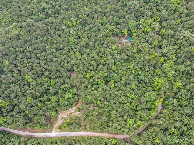 8850 Tom Taylor Rd, Northport, AL 35473 - photo 9
