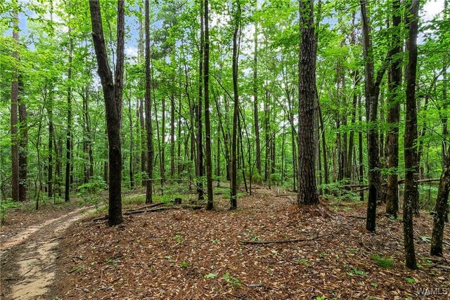 8850 Tom Taylor Rd, Northport, AL 35473 - photo 26
