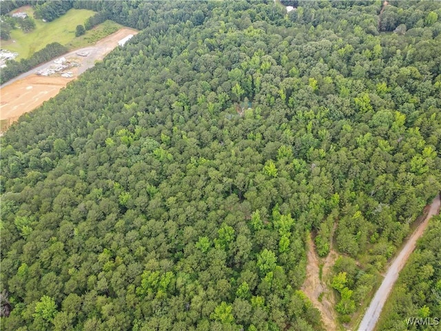 8850 Tom Taylor Rd, Northport, AL 35473 - photo 7