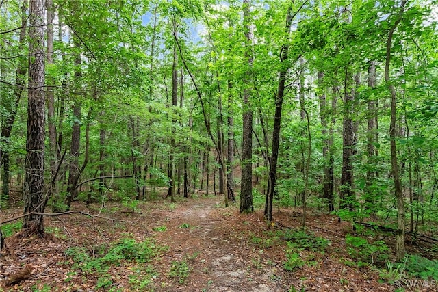 8850 Tom Taylor Rd, Northport, AL 35473 - photo 25