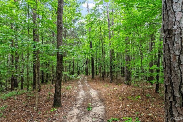 8850 Tom Taylor Rd, Northport, AL 35473 - photo 24