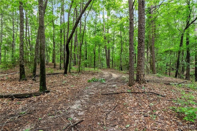 8850 Tom Taylor Rd, Northport, AL 35473 - photo 29