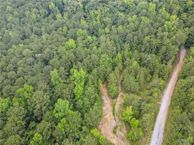 8850 Tom Taylor Rd, Northport, AL 35473 - photo 2