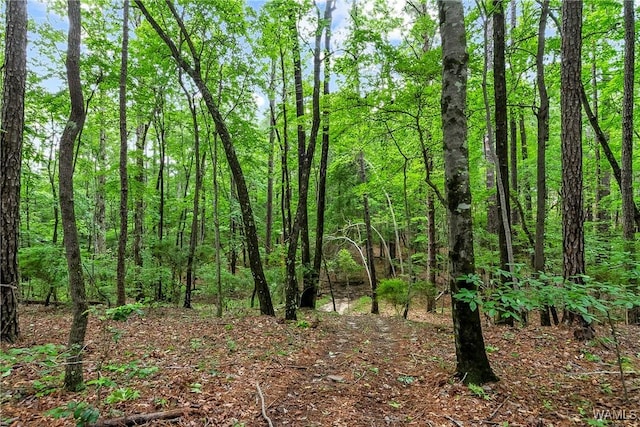8850 Tom Taylor Rd, Northport, AL 35473 - photo 28