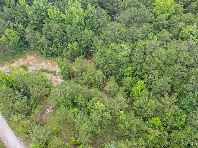 8850 Tom Taylor Rd, Northport, AL 35473 - photo 12