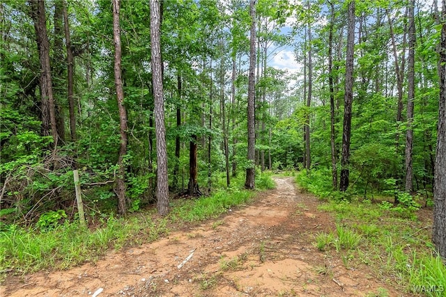 8850 Tom Taylor Rd, Northport, AL 35473 - photo 19