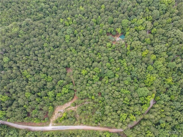 8850 Tom Taylor Rd, Northport, AL 35473 - photo 11