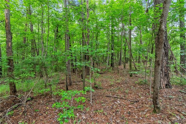 8850 Tom Taylor Rd, Northport, AL 35473 - photo 22
