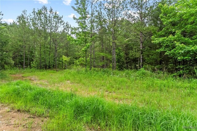 8850 Tom Taylor Rd, Northport, AL 35473 - photo 18