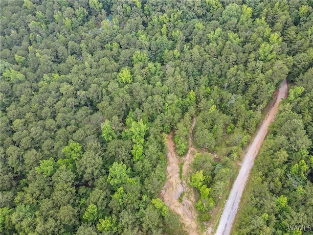 8850 Tom Taylor Rd, Northport, AL 35473 - photo 3