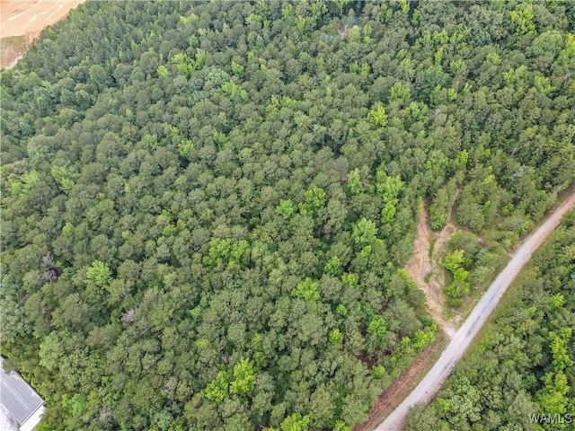 8850 Tom Taylor Rd, Northport, AL 35473 - photo 6