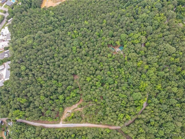 8850 Tom Taylor Rd, Northport, AL 35473 - photo 10