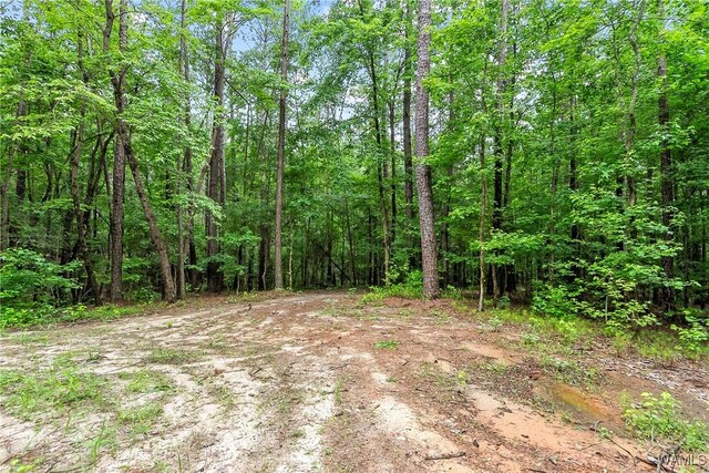 8850 Tom Taylor Rd, Northport, AL 35473 - photo 23