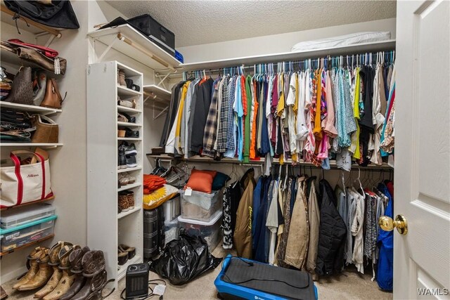 walk in closet with carpet flooring