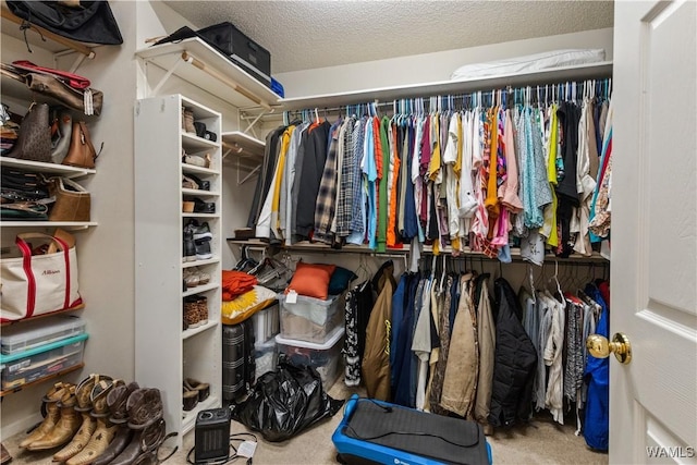 walk in closet featuring carpet floors