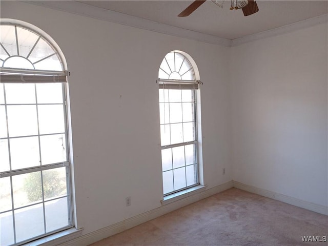 carpeted spare room with ceiling fan and crown molding