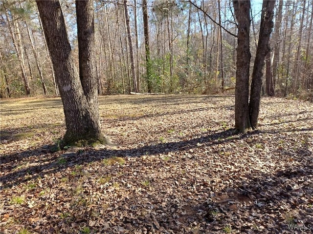 view of nature